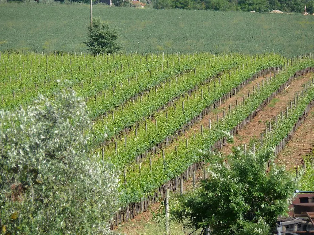 Agriturismo La Quercia Villa Sant'Antonio 0*, Sant'Antonio (Tuscany)